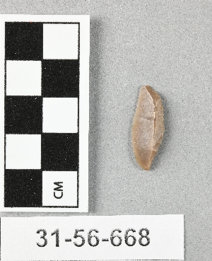 31-56-668