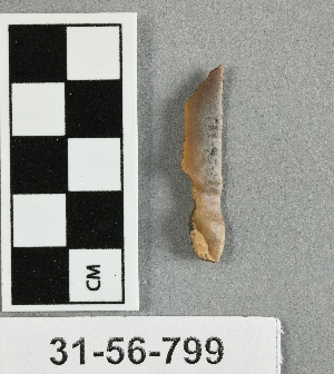31-56-799