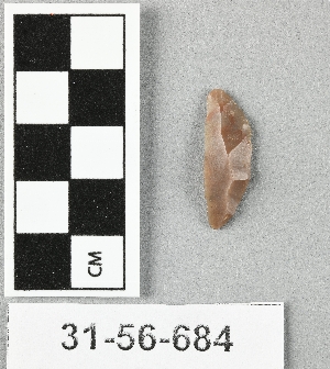31-56-684