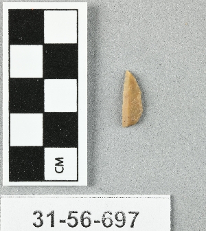 31-56-697