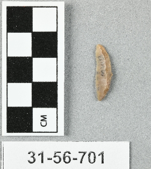 31-56-701