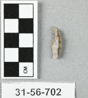 31-56-702