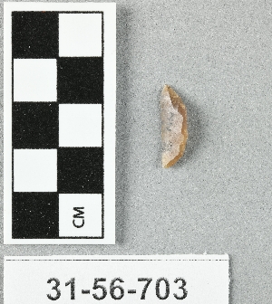 31-56-703