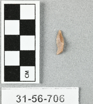 31-56-706