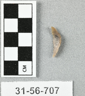 31-56-707