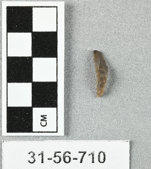 31-56-710