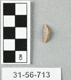 31-56-713