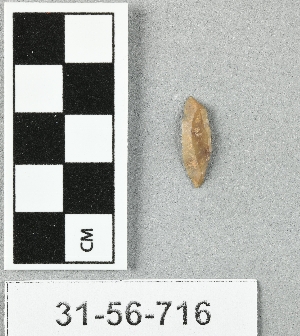 31-56-716