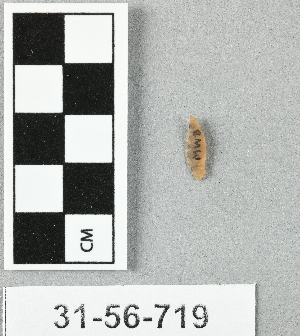 31-56-719