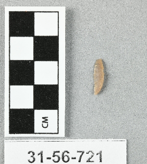 31-56-721