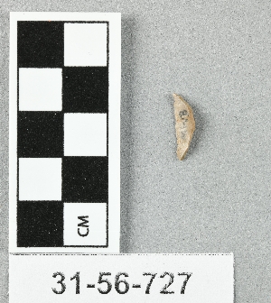31-56-727