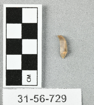 31-56-729