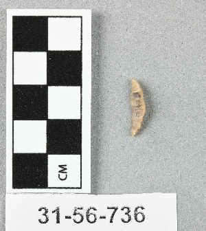 31-56-736
