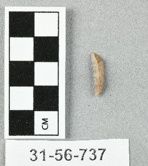 31-56-737