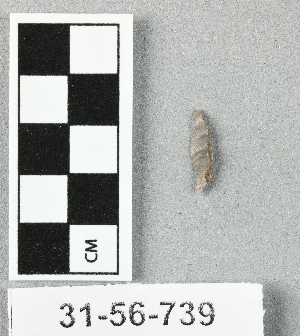 31-56-739