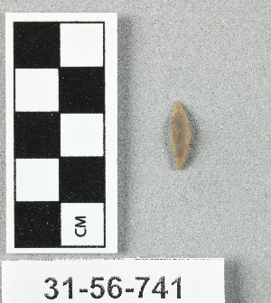 31-56-741