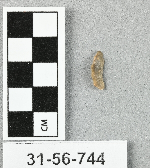 31-56-744