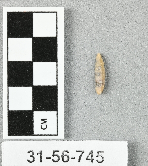 31-56-745