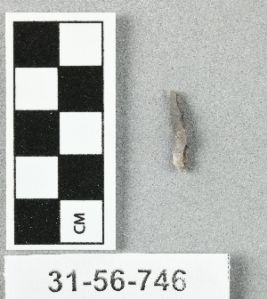 31-56-746