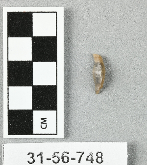 31-56-748