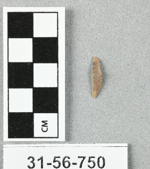 31-56-750