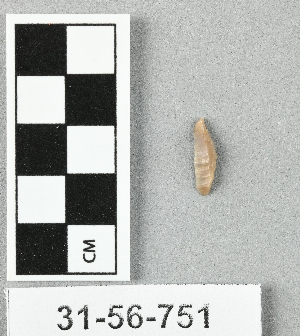 31-56-751