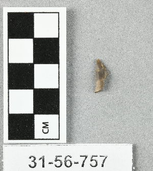 31-56-757