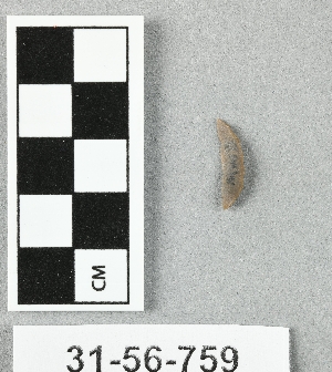 31-56-759