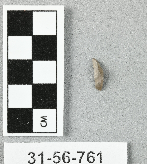 31-56-761