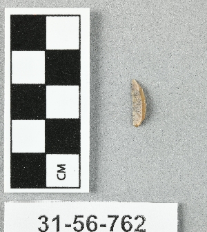 31-56-762