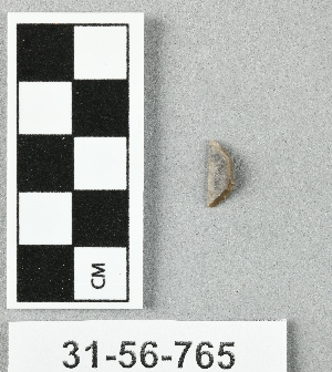 31-56-765