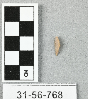 31-56-768