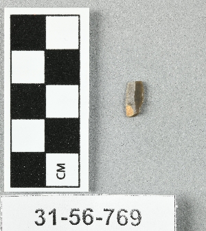 31-56-769