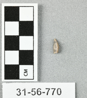 31-56-770