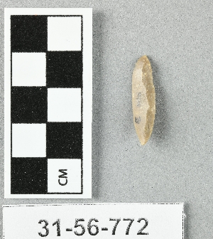 31-56-772