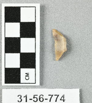 31-56-774
