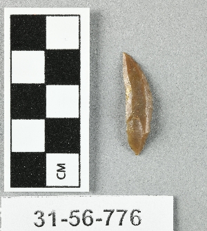 31-56-776
