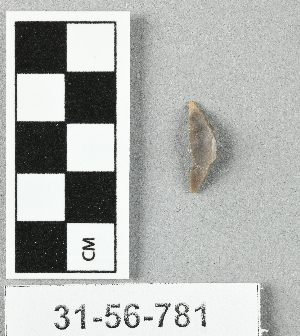 31-56-781