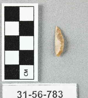 31-56-783