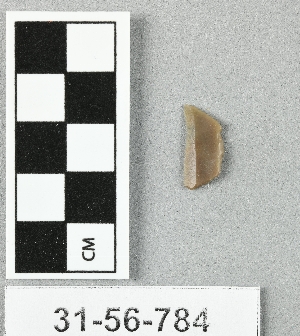 31-56-784