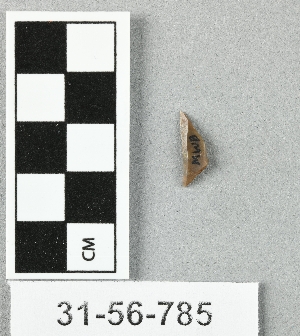 31-56-786