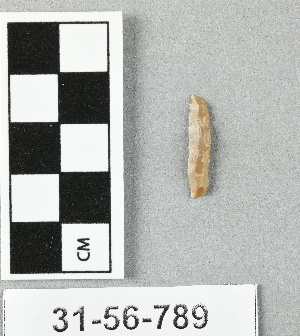 31-56-789