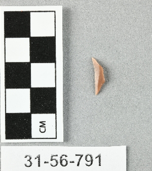 31-56-791
