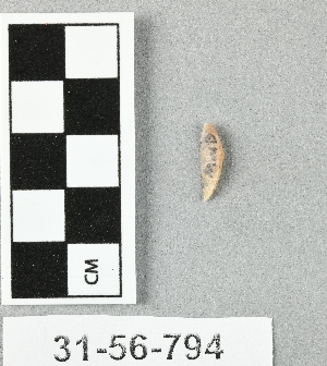 31-56-794