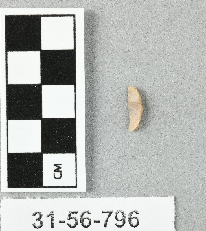 31-56-796