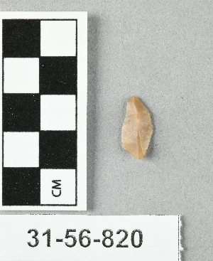 31-56-820