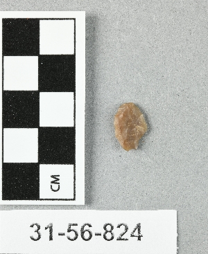 31-56-824