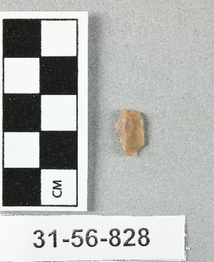 31-56-828