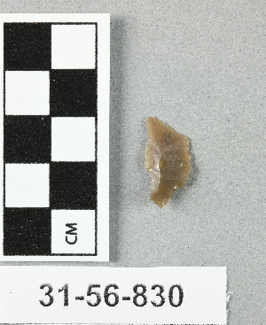 31-56-830