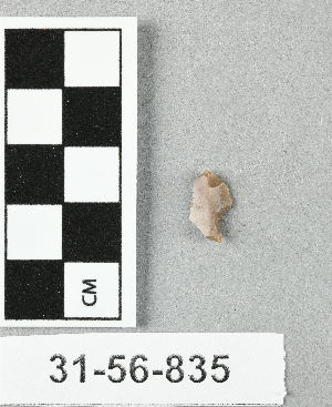 31-56-835
